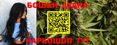 apvp Моздок