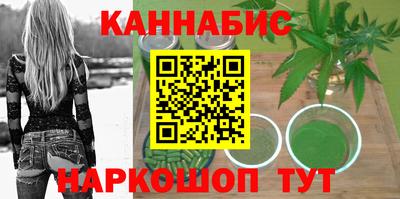 индика Можга