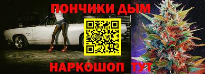 индика Можга
