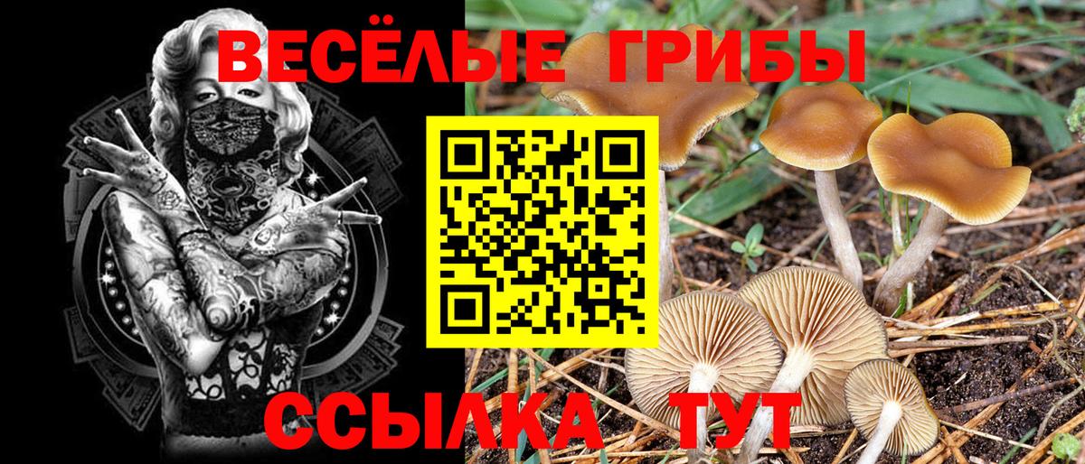 наркошоп  Вход с VPN  Галлюциногенные грибы Psilocybine cubensis  Ступино  Псилоцибиновые грибы прущие грибы 